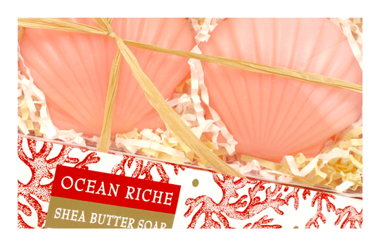 Sculpted Sea Shell Soaps