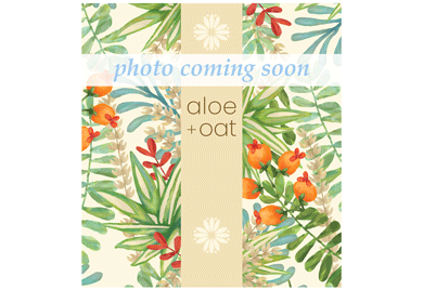 Aloe + Oat Spa Products
