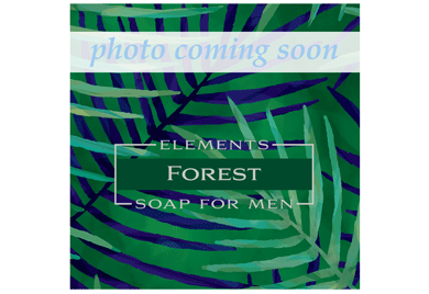 Forest Elements Soap for Men